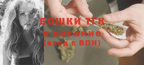 молекула духа Волоколамск