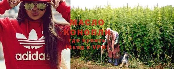 молекула духа Волоколамск