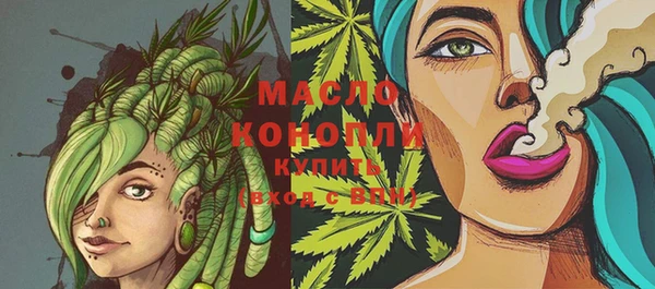 молекула духа Волоколамск