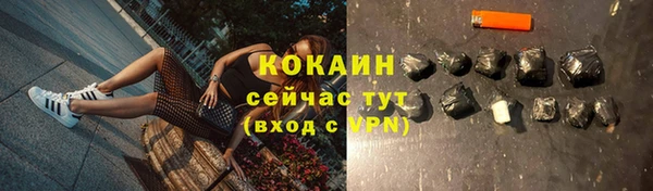 молекула духа Волоколамск