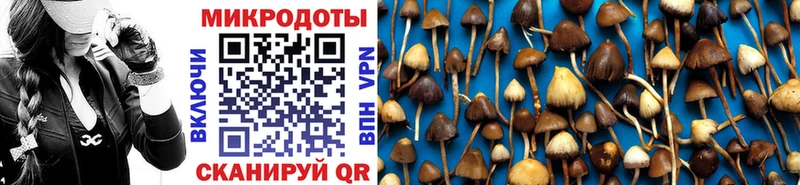 Псилоцибиновые грибы Psilocybe  Купить  Плёс 