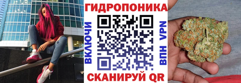 Бошки Шишки SATIVA & INDICA  Купить  Плёс 